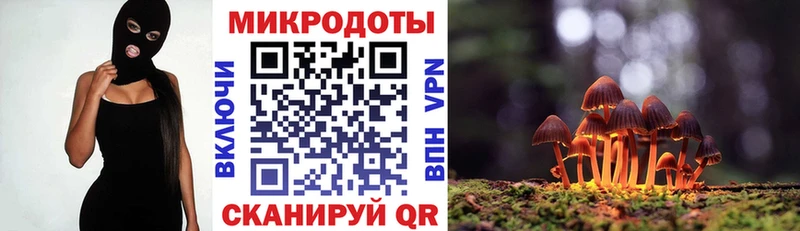 Псилоцибиновые грибы Magic Shrooms  цены наркотик  Мичуринск 